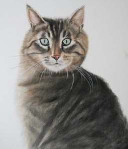 Leo
