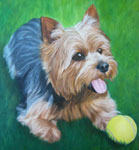 Klick zum Vergrößern