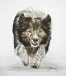 Klick zum Vergrößern