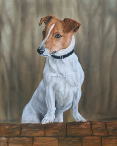Jack Russel