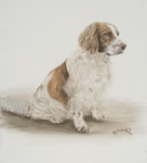 Klick zum Vergrößern