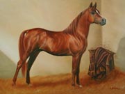 Klick zum Vergrößern