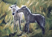 Klick zum Vergrößern