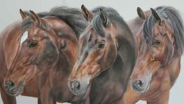 Klick zum Vergrößern